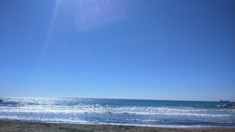 10488156_10205411769587095_6633512274086522830_n