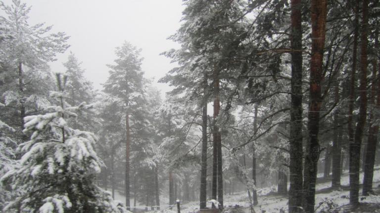 10620253_10207460051952874_9029772296097927491_o